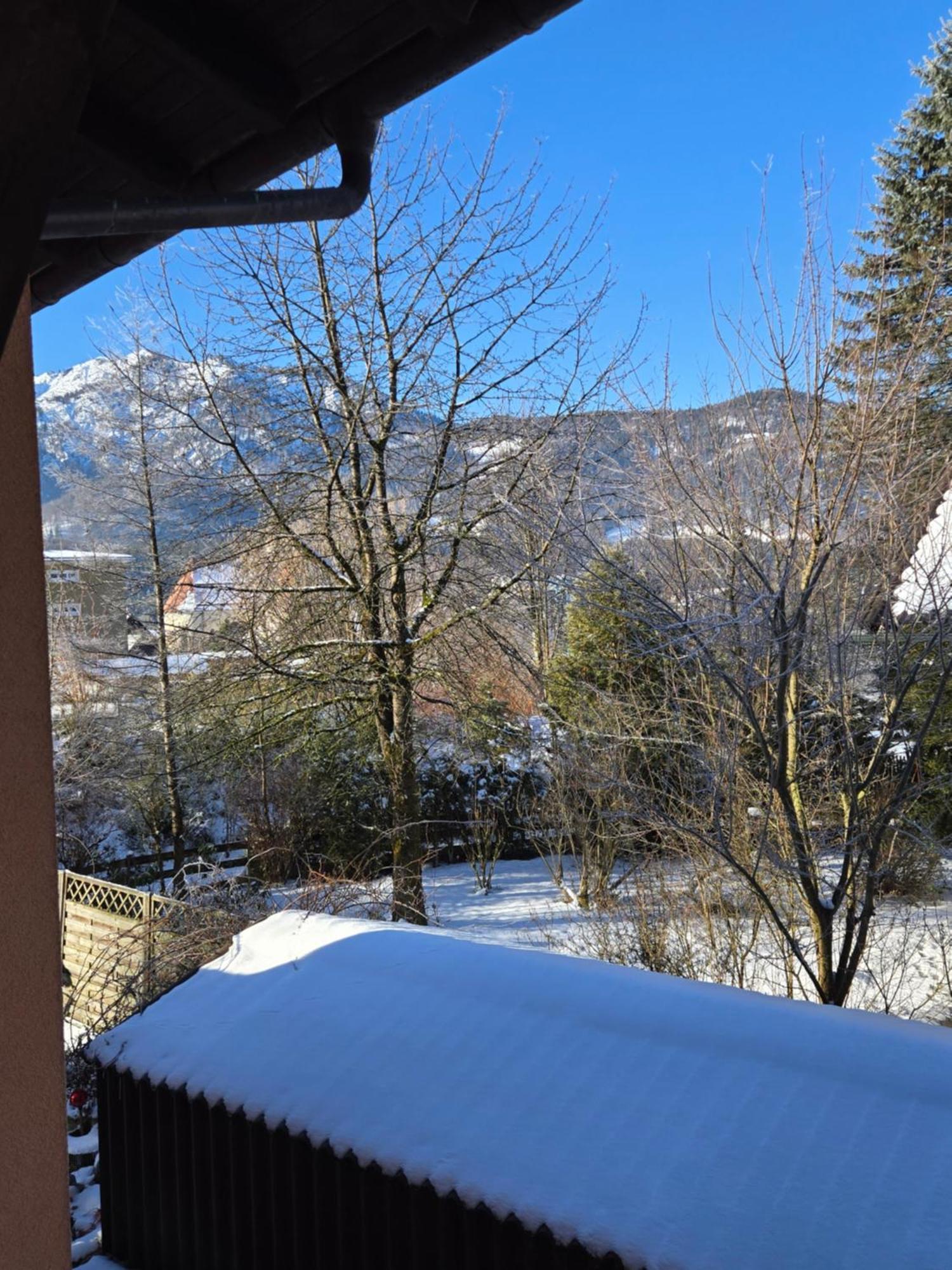 Alpenblumal Apartment Bad Goisern Exterior photo
